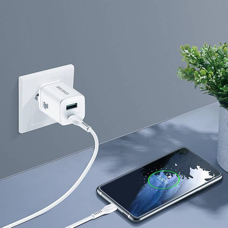 Phone Charger Dux Ducis C80 PPS Quick Charger USB+Type-C 30W White