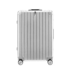 NINETYGO All-round Guard Large Suitcase 72cm Silver