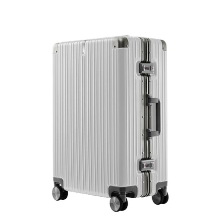 Велика валіза NINETYGO Allround Guard 77,5 см, срібляста